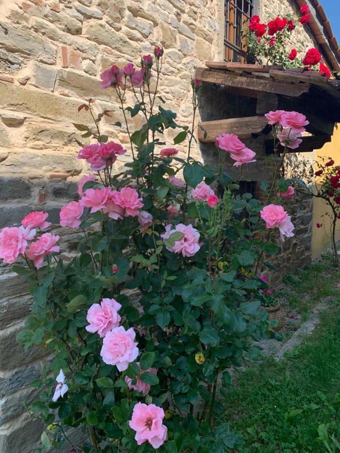 Le Mulina Villa Barberino di Mugello Luaran gambar